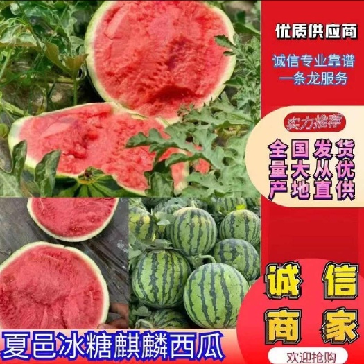 夏邑县美都西瓜，产地直供，一手货源，质量三包，专业团队代购代发，