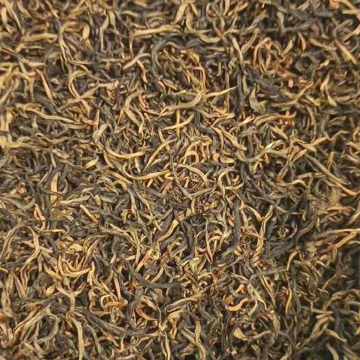 英德市闻名世界的英德红茶：英红九号