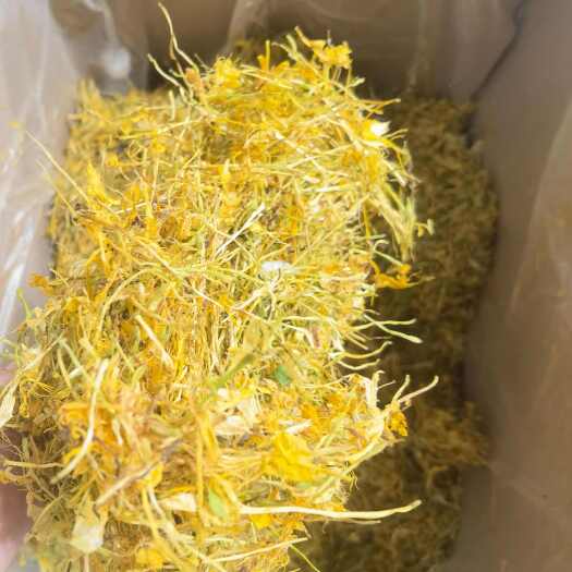 亳州中药材山银花 五彩花