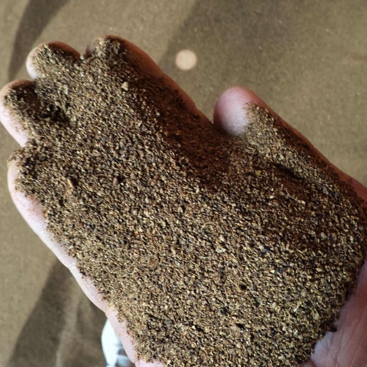蚌埠菜粕辅料 蛋白36以上