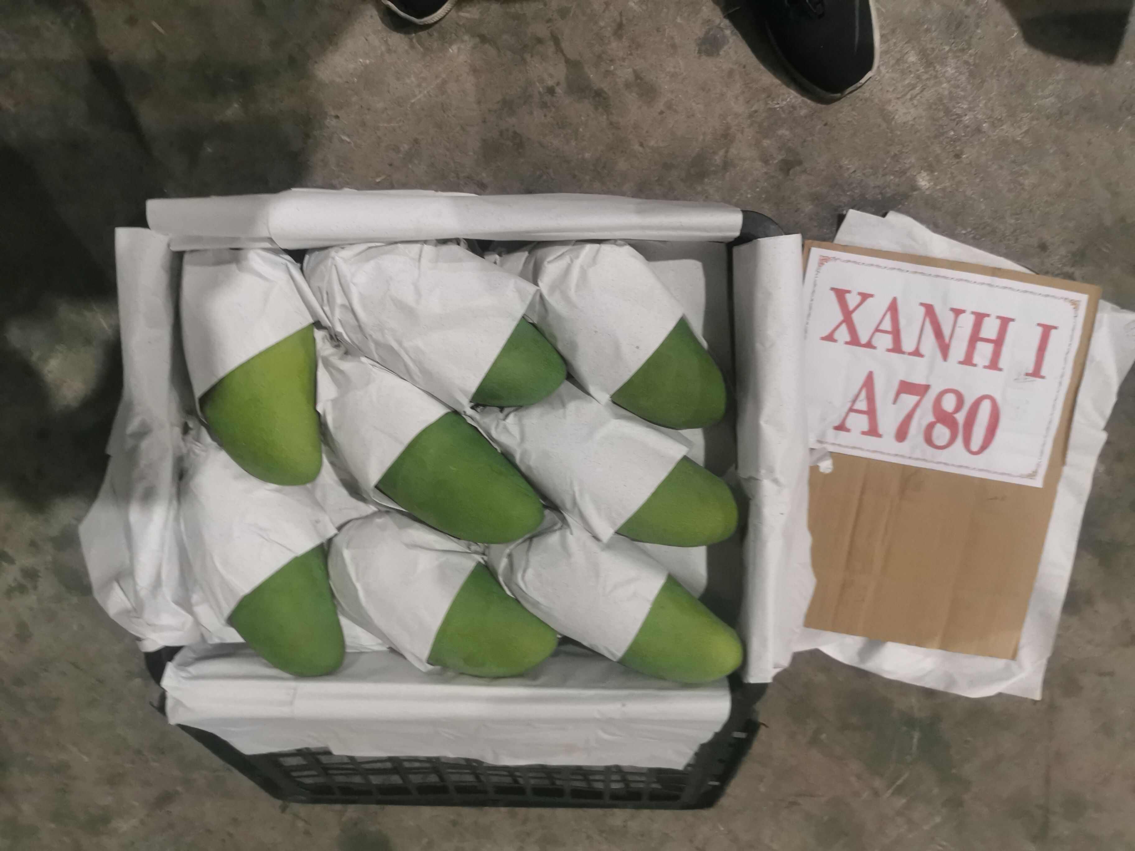 大青芒产地直发，一件带筐60斤 量大从优，一件代发，核薄肉厚