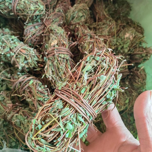 鸡骨草，精品鸡骨草无硫青绿足干，广东省内包邮