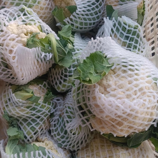 有机花菜散花