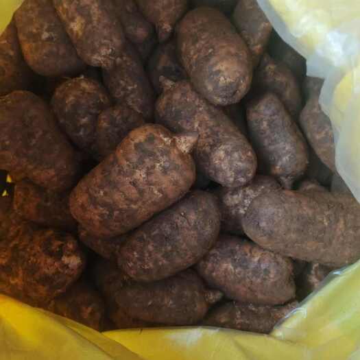 云南昭通彝良产地直供优质乌天麻中药材滋补佳品