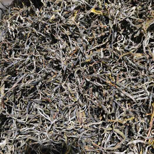 双江县25年老树晒青绿茶（春）手工工艺