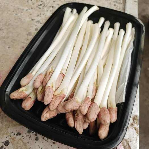 天津花生芽又名长寿菜，复含18种氨基酸和多种微量元素
