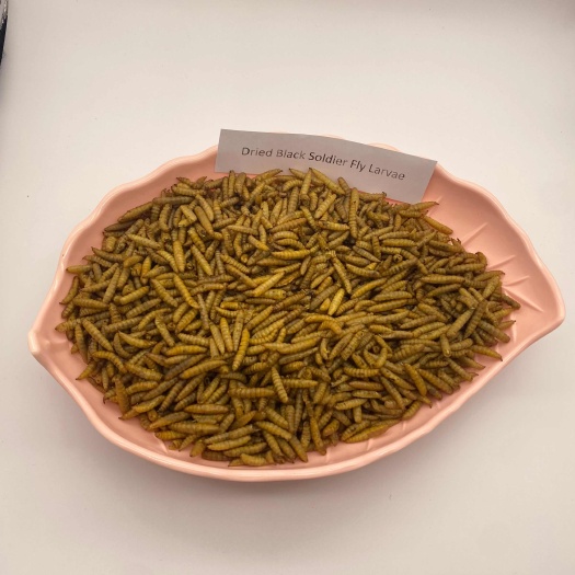 青岛黑水虻干虫、黑水虻虫粉，黑水虻脱脂蛋白粉，黑水虻虫油