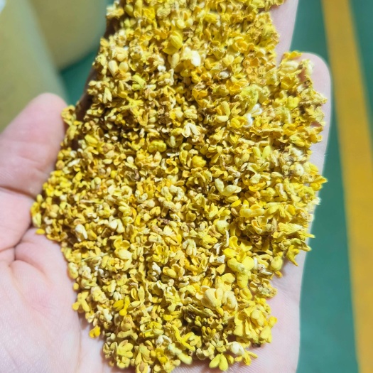 桂花茶 桂花瓣广西桂林桂花干花批发零售真空脱水花一级无硫