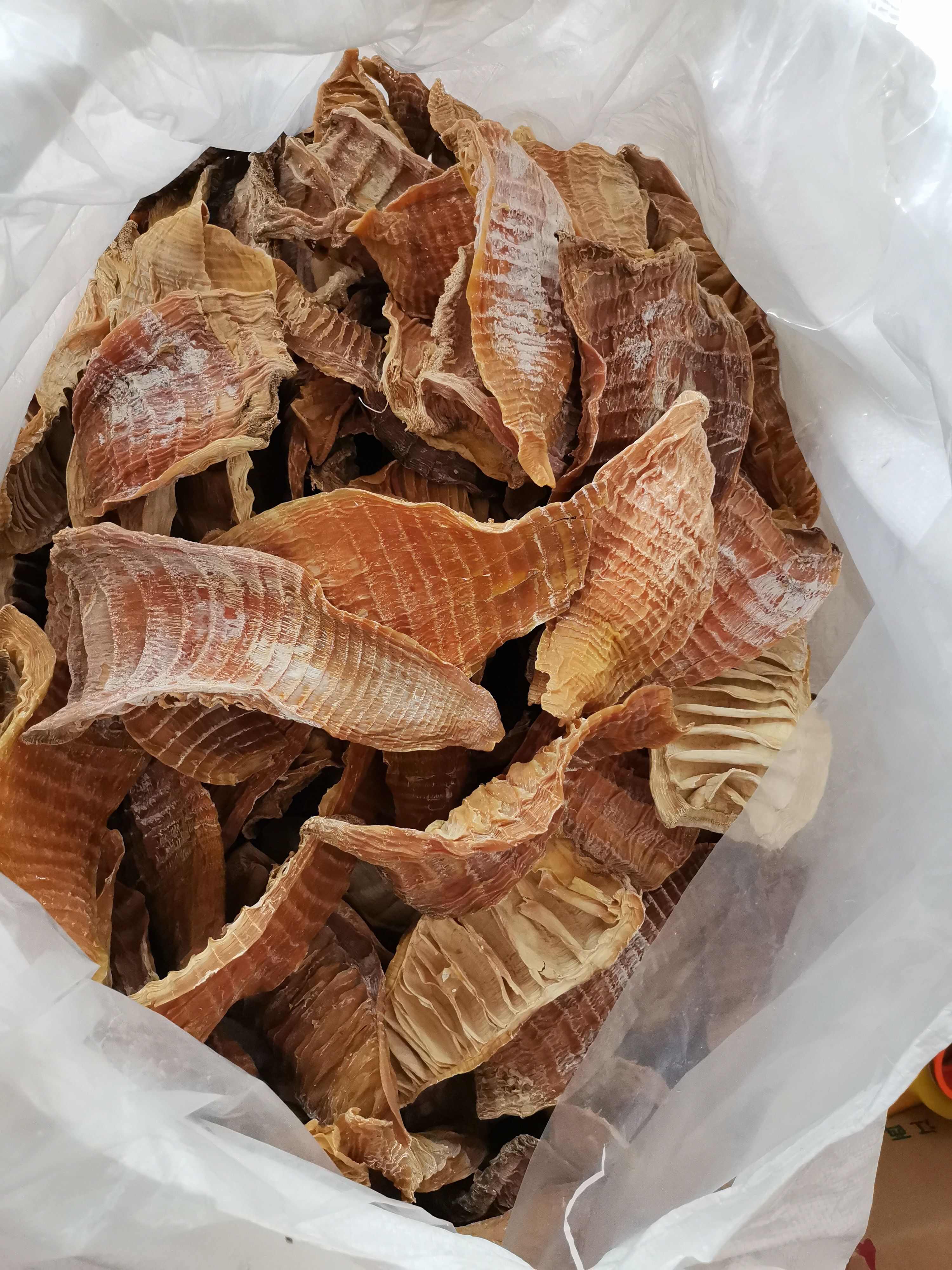 高山火烤冬笋尖