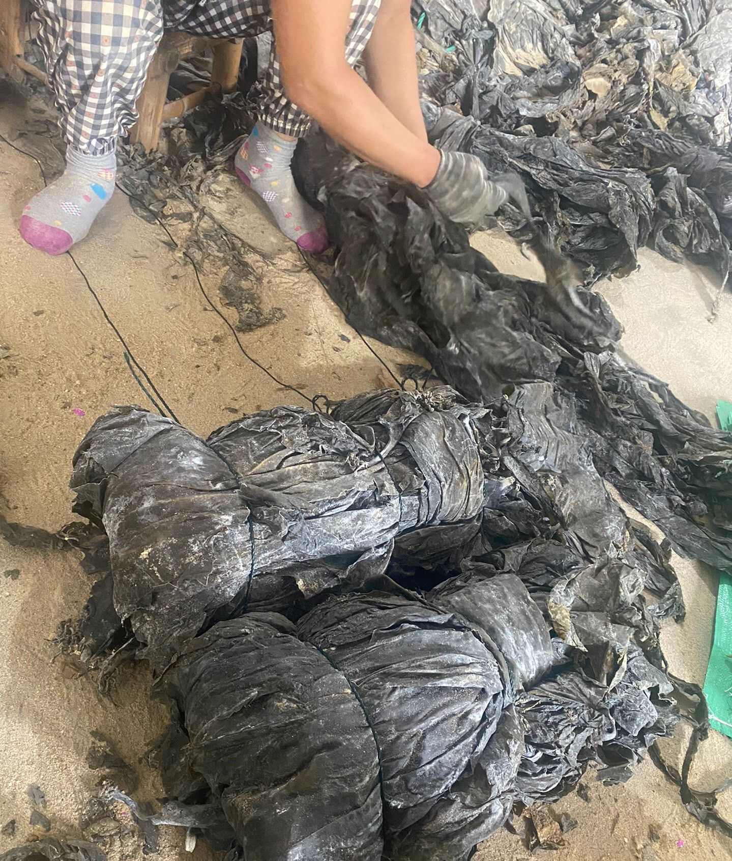 福建海产养殖户为您带来优质干海带，产地直发，确保新鲜与品质。