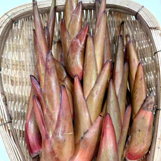 金平县云南高山草果芽，凉拌菜