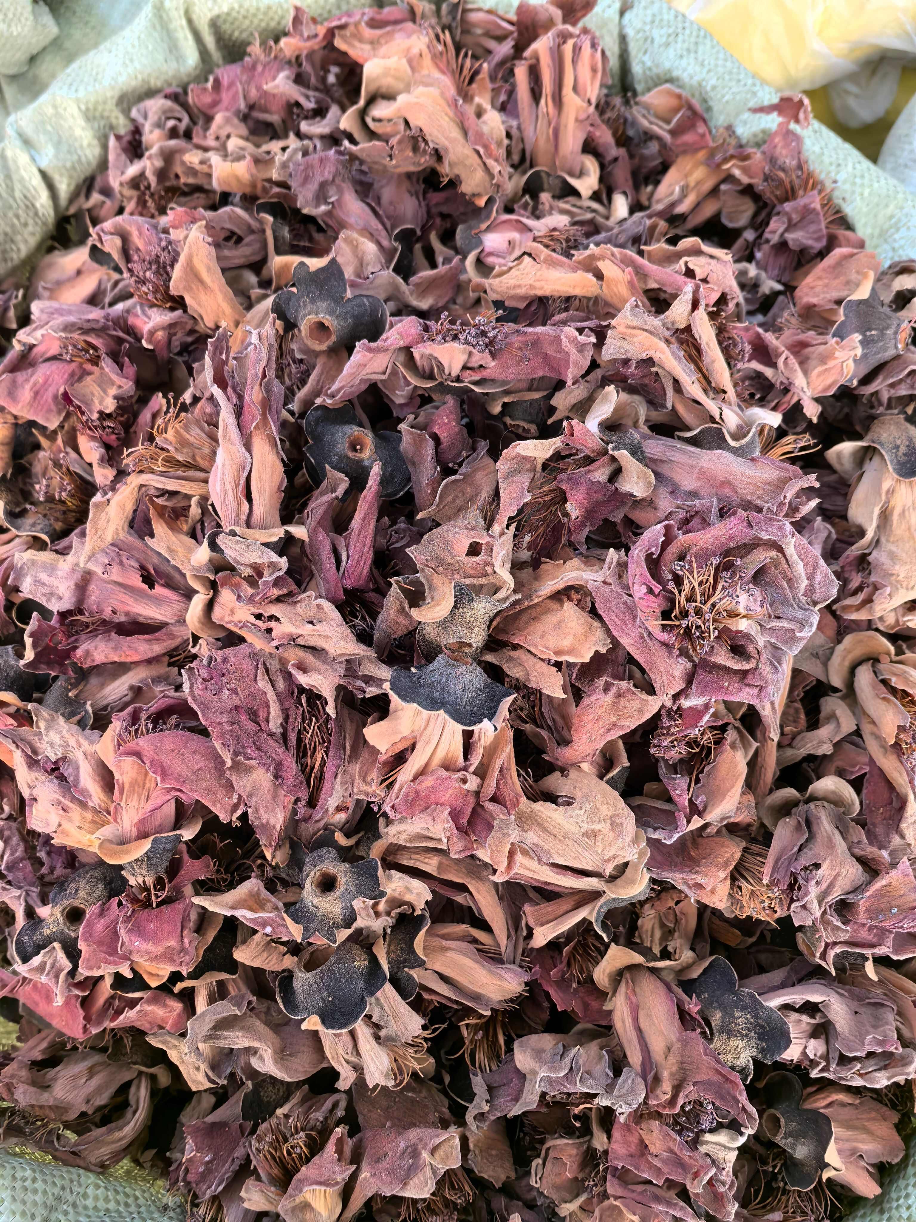 木棉花中药材 无硫干货广东凉茶煲汤