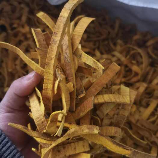 盐津县黄柏丝，黄柏个子，