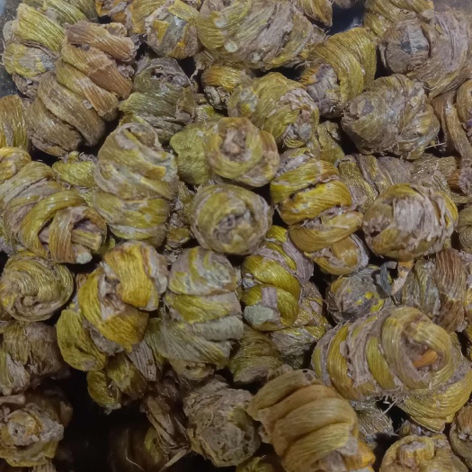 昆明石斛铁皮石斛云南直发铁皮石斛干条滋阴润燥生津中药材