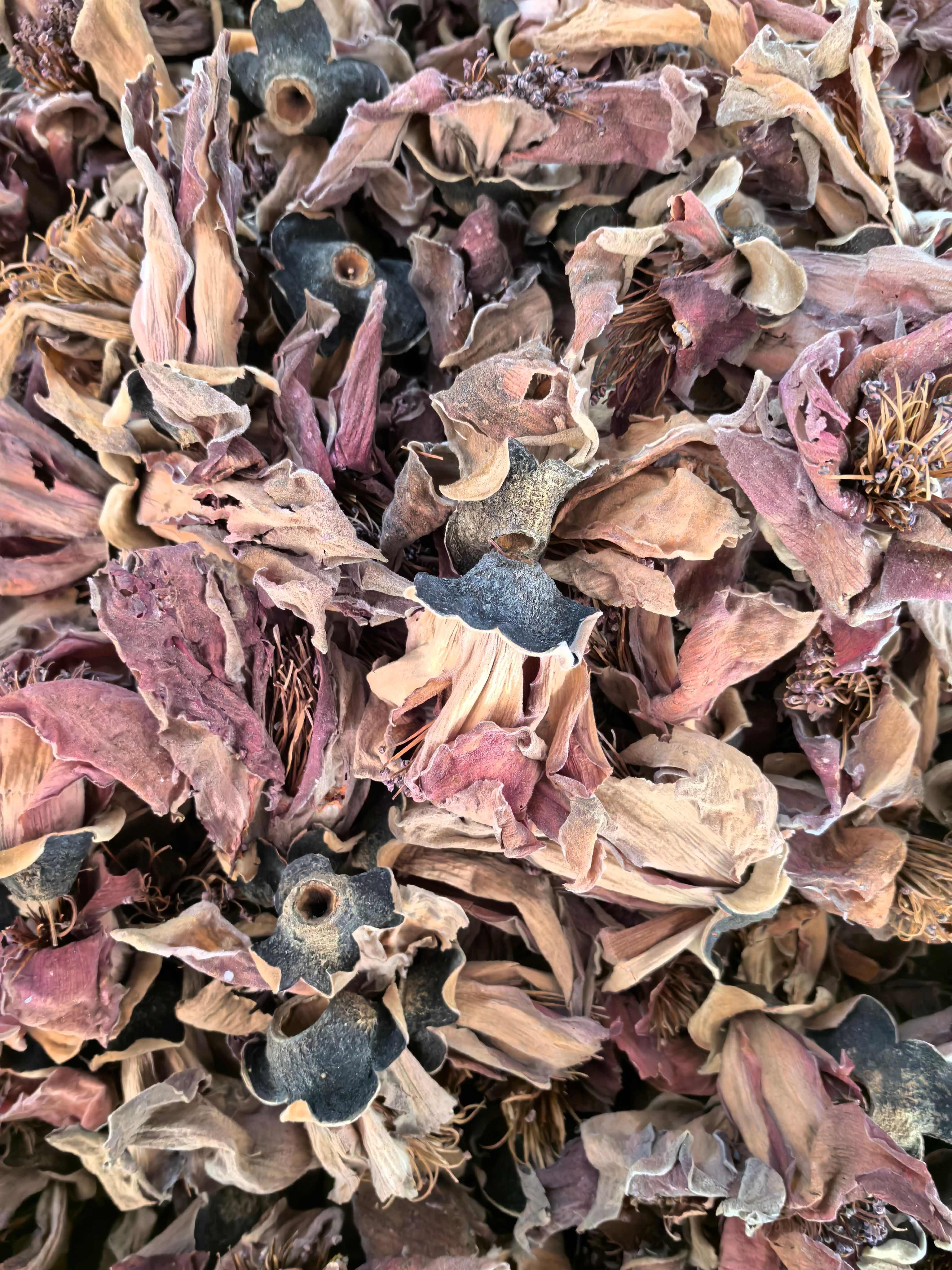 木棉花中药材 无硫干货广东凉茶煲汤