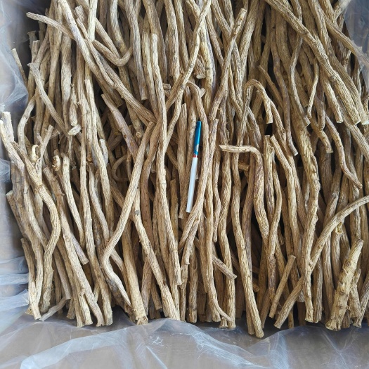 亳州防风各种规格