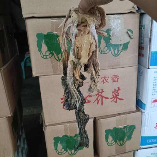 普宁市广东揭阳优质梅干菜 干燥蔬菜批发 非常适合炖肉烧菜
