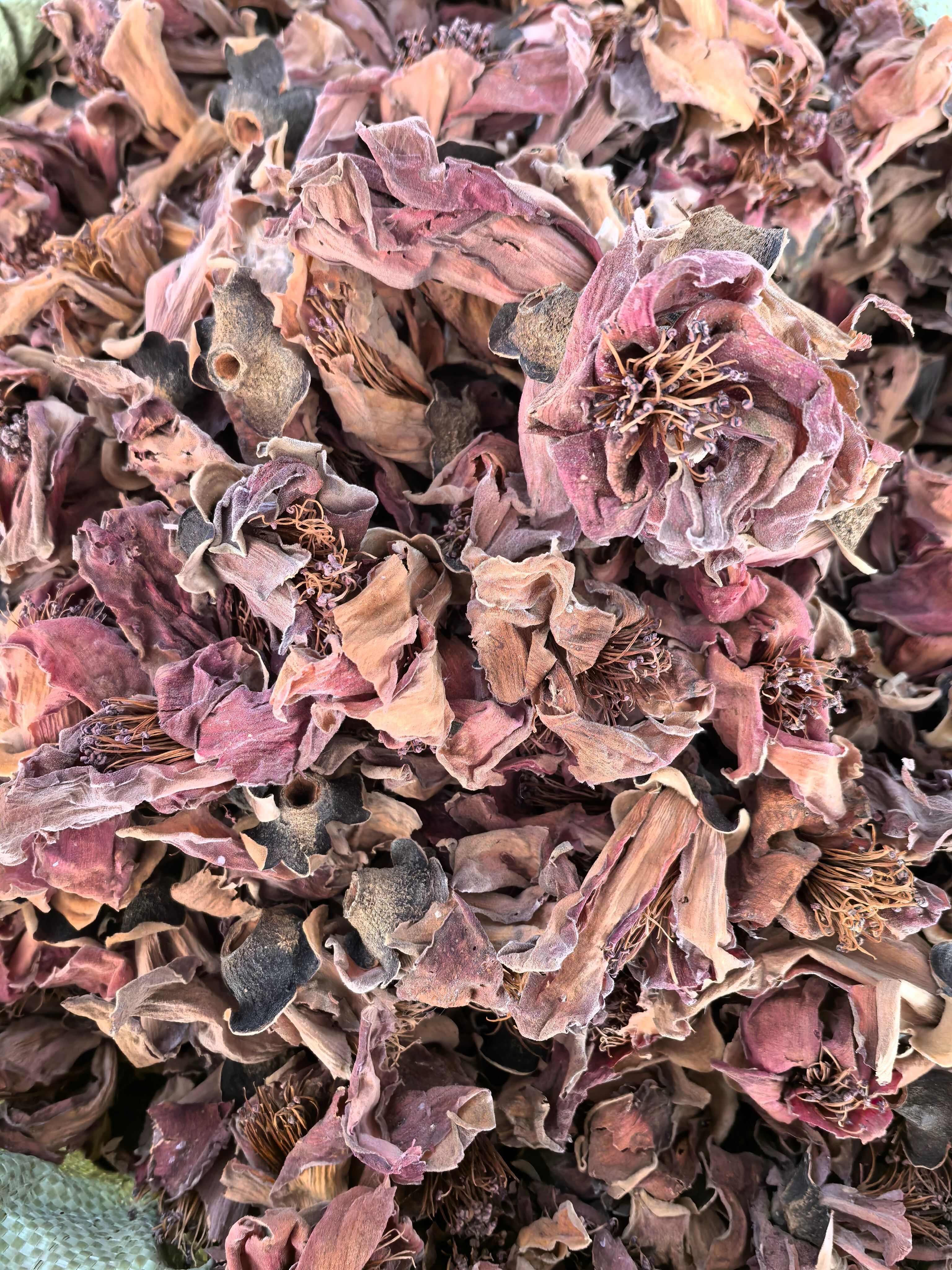 木棉花中药材 无硫干货广东凉茶煲汤