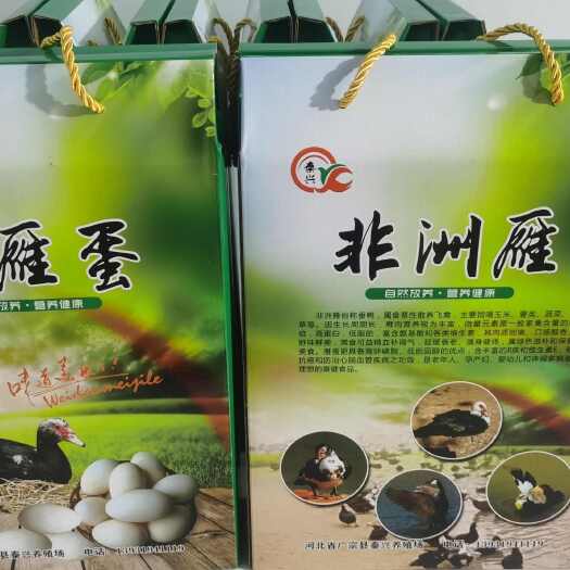 广宗县散养非洲雁蛋，每件15枚装，每枚90克左右，免费送礼盒