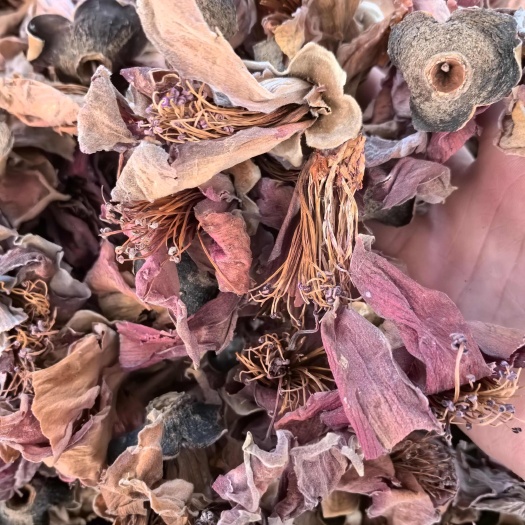 木棉花中药材 无硫干货广东凉茶煲汤