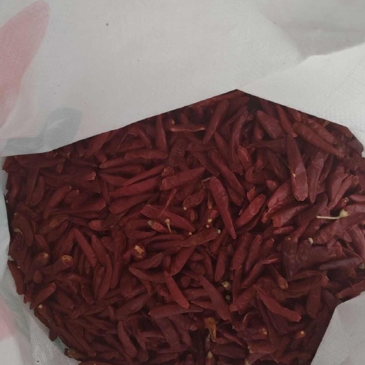 重庆市河南新一代