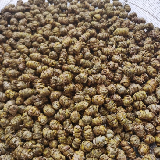 南靖县铁皮石斛基地直销铁皮石斛枫斗铁皮石斛干条石斛苗石斛干货干品