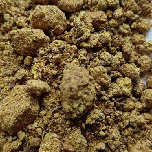 石家庄新疆棉粕 蛋白46
