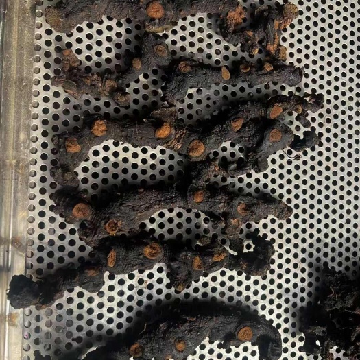 苍南县黄精九蒸九晒九制黄精 硬的软的统一价全部整根发货节头明显