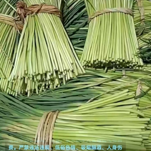 邳州市本地红帽蒜苔，邳州红帽蒜苔