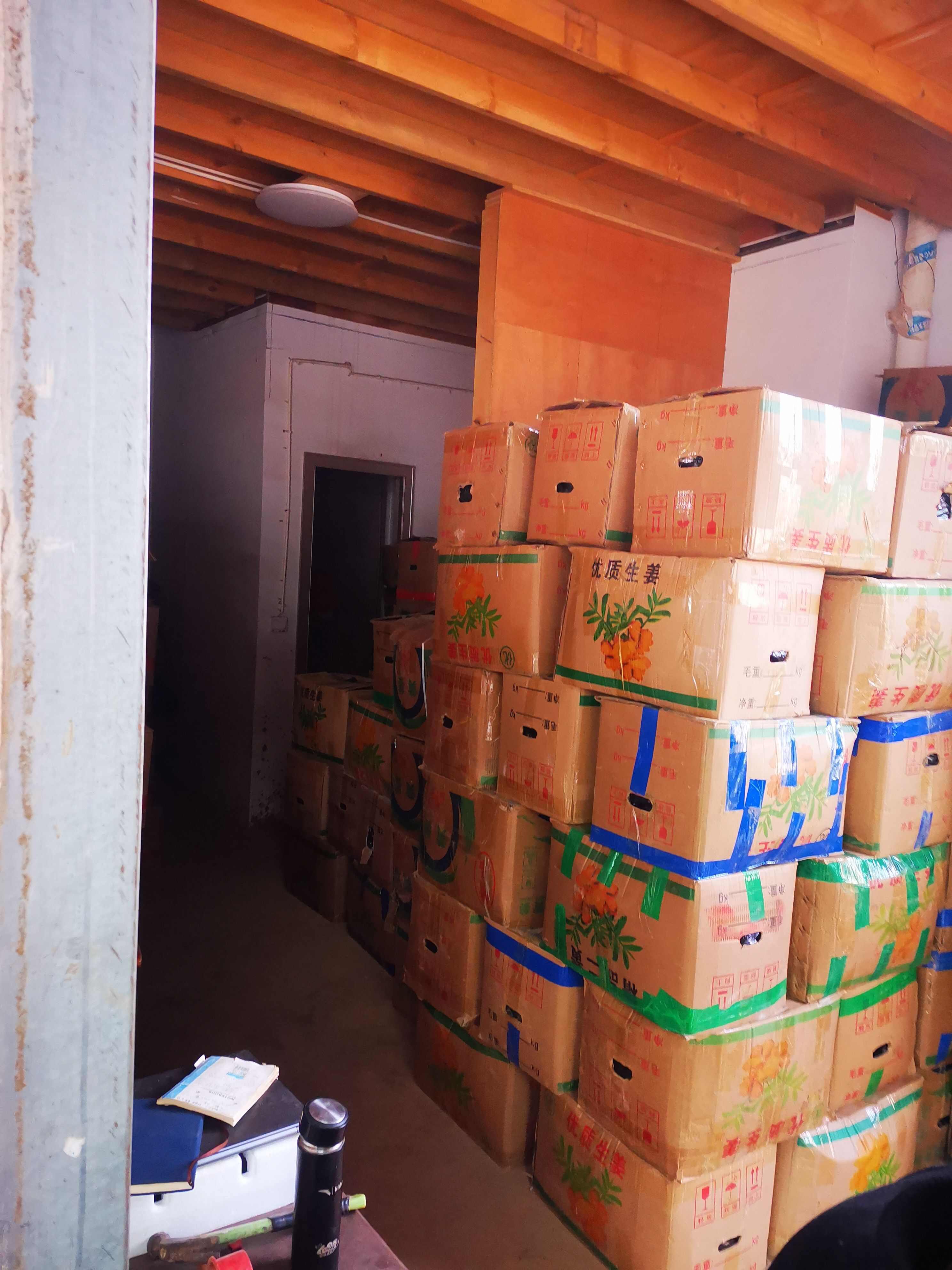云南罗平窖姜 可代收 场地直发 品种多 质量好