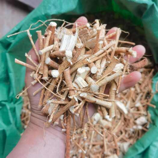 钟山县广西五指毛桃，统货切段，足干无硫，味香色靓