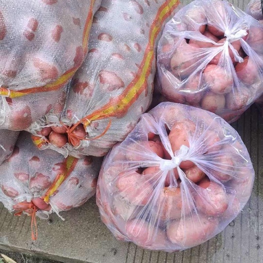 弥渡县红皮黄心洋芋已上市，电商，超市，市场欢迎对接
