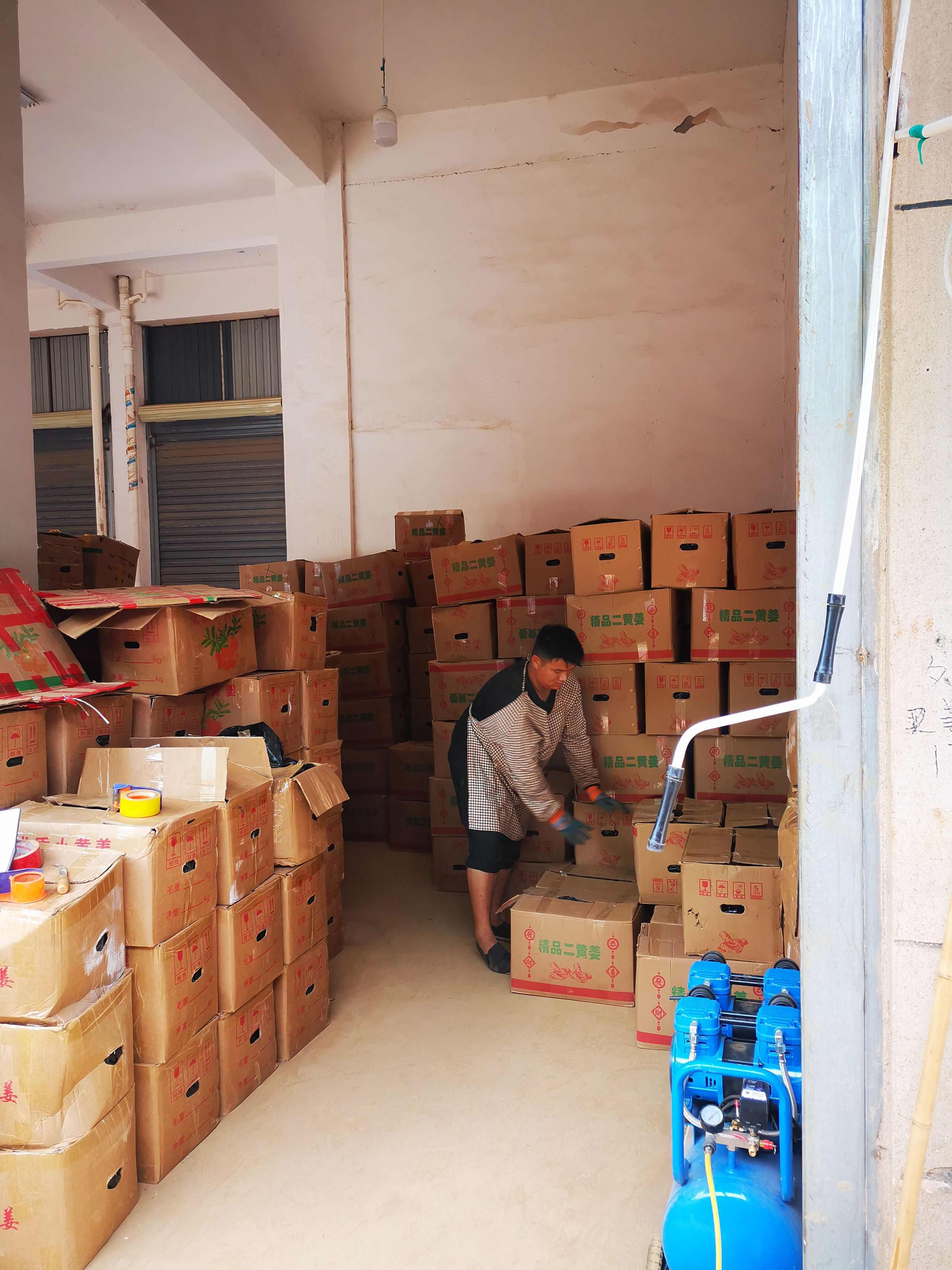 云南罗平窖姜 可代收 场地直发 品种多 质量好