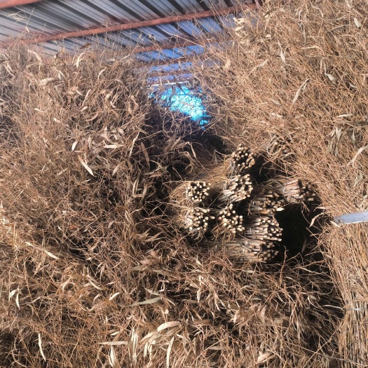 大扫把工厂车间专用环卫工人户外专用扫帚竹子马路庭院家用工地