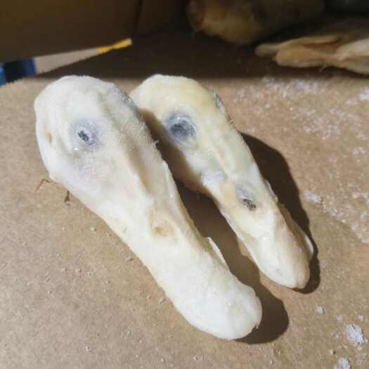 单冻鸭头