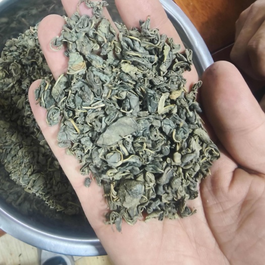野生罗布麻