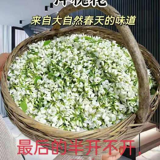 临朐县山东沂蒙山区，洋槐花，春天的故事和味道