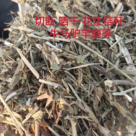 大名县花生秧 优质草料 富含蛋白质 粗纤维