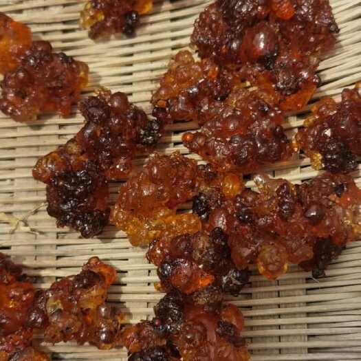 随县桃胶*现货