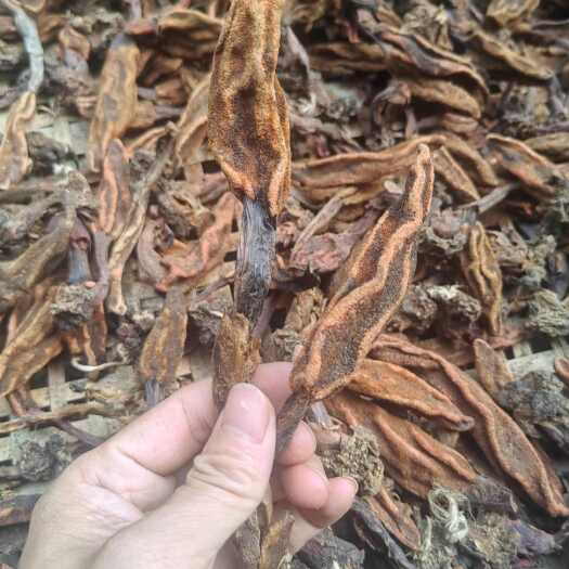 隆林县卖回春草啦，山货，量不多