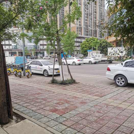 成都农家乐转让，地铁站口，几万人小区旁一百米