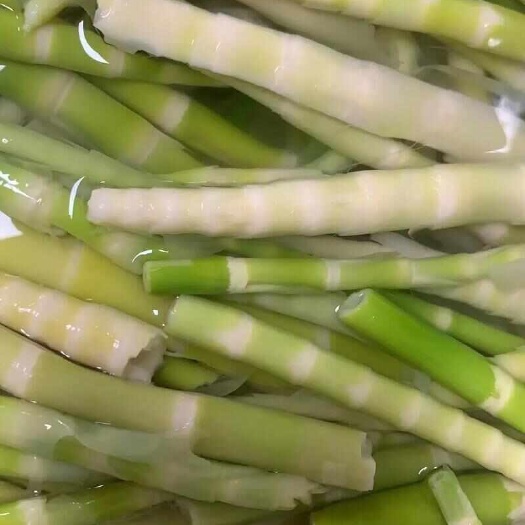 屏山縣水竹筍新鮮筍  需要的隨時聯(lián)系我