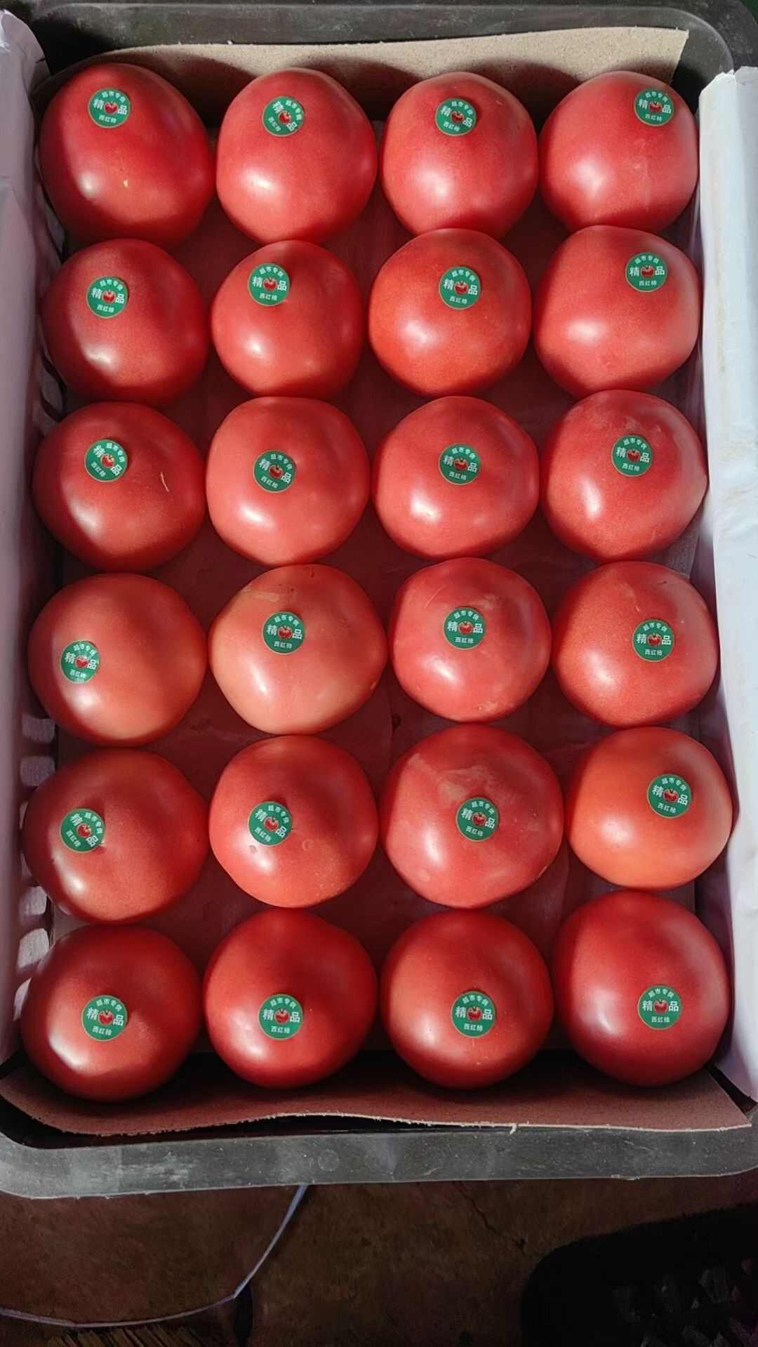 精品西红柿大量有货，价格便宜