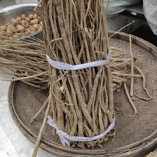 梧州千斤拔，干货