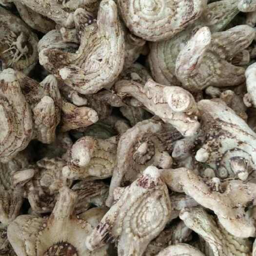 昆明白芨片白芨个云南昆明官渡区直发优质白及中药材根茎干货