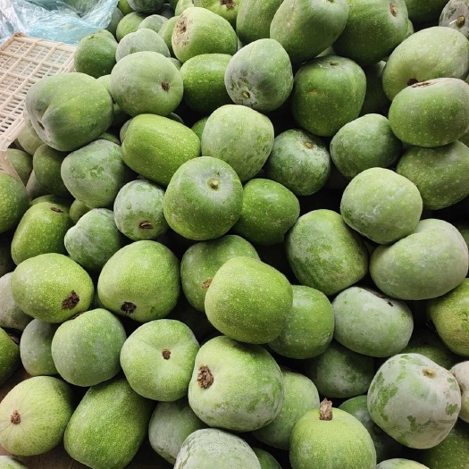 莘县一串铃冬瓜
