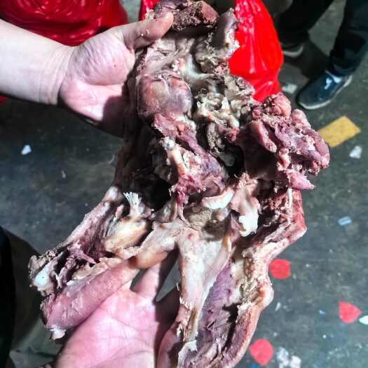商丘猪头肉半成品，生猪头猪蹄猪下水都有
