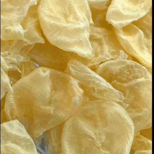 武汉湖北鱼胶工厂——做纯淡干，清水，良心鱼胶。