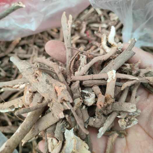 菏泽牡丹皮牡丹根人工抽芯