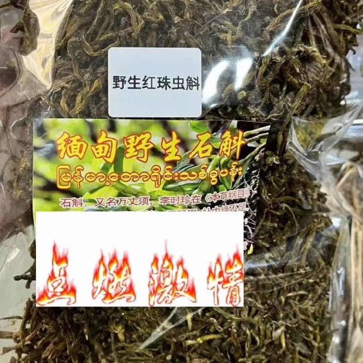 河口县缅甸红珠虫斛！红珠虫斛